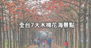 全球最美花街回來了！台南白河「林初埤木棉花道」火紅花朵滿開，領軍「全台7大木棉花道」一次拍好拍滿。