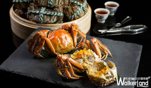 值得被記憶的味道！台北文華東方酒店米其林中餐廳「雅閣」，嚴選台灣在地天然優質大閘蟹推出秋豐蟹宴。