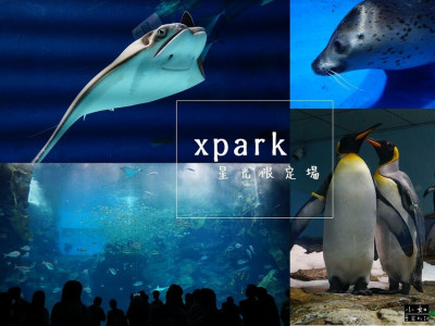 【桃園景點】Xpark七夕特典,星光限定場,企鵝表演慾魂上來！?夢幻水母也太美！