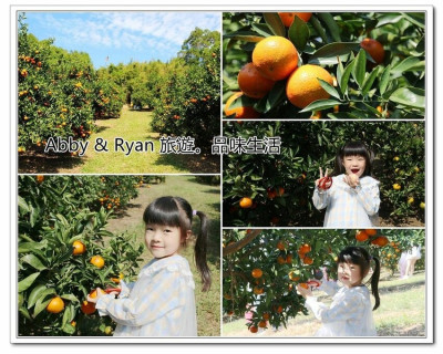 【新竹景點】桔滿緣寶山農場~100元橘子吃到飽。媲美濟州島桔子園的親子景點！