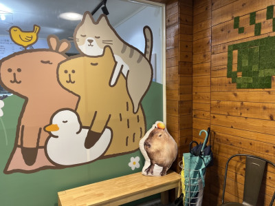 《新北❤️土城》這間店真的有水豚！！水豚騎士的超可愛水豚與鴨鴨迎接你，一起來吃水豚燒吧！