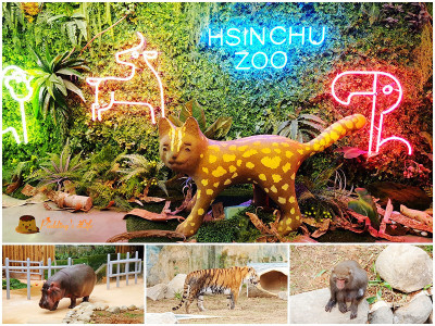 新竹親子景點│新竹市立動物園》全台最古老動物園重新開幕嘍