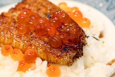 
【豚馬日本料理】就像回到家一樣，有溫度的服務和料理！(捷運站旁/日本料理)
