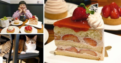 【八德甜點】喝咖啡吃草莓蛋糕《OWL Dessert 貓頭鷹法式手工甜點》草莓季就要滿滿草莓！還有可愛角落小生物 | 哪哪麻