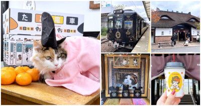 日本最萌貓站長！和歌山電鐵貴志站「小玉站長」吸金功力一流，貓奴搭上全黑優雅「小玉電車博物館號」立刻被萌到走不出車廂。