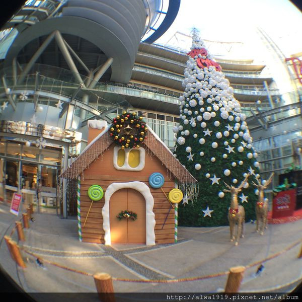 【聖誕節約會首選】最有耶誕氣氛！新竹最美雪白聖誕樹就在Big City遠東巨城購物中心