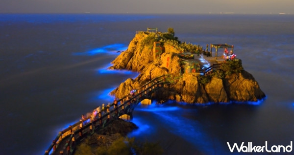馬祖的美一定要親眼見證！連江縣政府推出「馬祖藍眼淚生態之旅」，要把世界15大奇景之一馬祖「藍眼淚現象」介紹給每一位旅客。