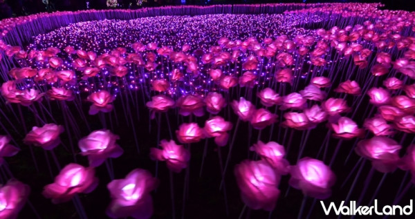 彰化人真的很懂賞花！彰化縣政府推出「2020花在彰化」，溪州公園打造出「花影水舞燈區」，陪民眾白天賞花、晚上賞燈。
