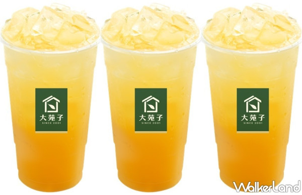 飲料控瘋狂敲碗！大苑子超經典「台灣鮮搾柳橙綠」強勢回歸，100%台灣在地「小農柳橙」讓飲料控集體喝起來。