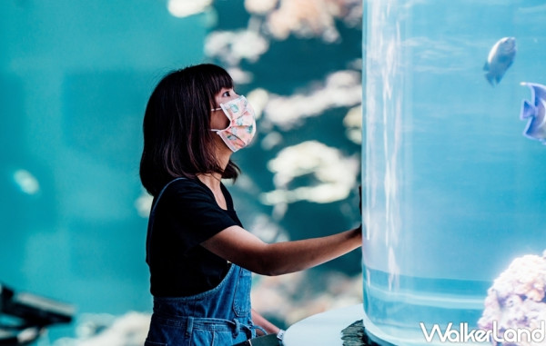 網美必拍20公尺螢光畫廊！屏東海生館打造全新亮點「璀璨之海」閃耀登場，大型AI與鯨共舞、巨幅螢光插畫廊道，感受不一樣的海洋之美。