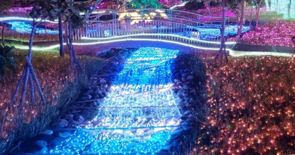 日式燈海IG欠打卡！搶先看「2021四重溪溫泉季」絕美櫻花隧道燈海，98天免費入場挑戰最浪漫夜景。