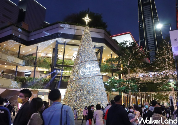 信義區聖誕打卡點拍起來！新光三越「耶誕希望之樹」17米高聖誕樹正式點燈，IG要拍「星光步道、星空光廊」5大聖誕打卡點先筆記。