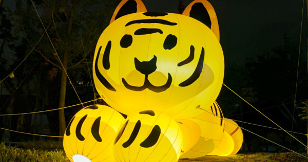 台北也有夜間熱氣球秀！台北燈節「熊讚熱氣球、100米水火舞光雕秀」領軍免費拍，坐捷運衝士林拍不停。