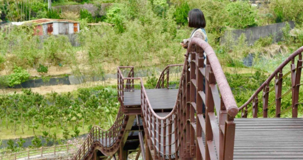 士林隱藏版景點！士林人都不知道「百年古圳、稻浪棧橋」3大打卡點一次公開，「士林半日遊散步景點」來去拍起來。