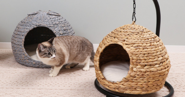 貓奴又要花錢了！日本家居品牌「Yamasoro」新作，全天然素材「布袋葵」編織，蛋形貓屋！