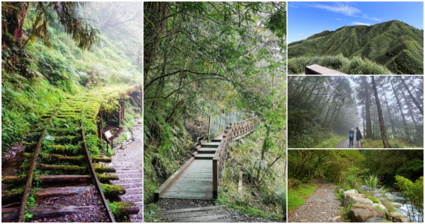 宜蘭最美森林步道！來宜蘭必訪9條「宜蘭森林步道」攻略，帶你走入宜蘭秘境步道看「百年神木、森林鐵道、山林瀑布」。