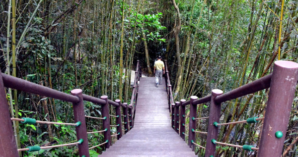 桃園親子步道再加一！桃園復興鄉「高遶溪古圳步道」整修開放，超過1000公尺「百年步道」漫步森林裡超放空。
