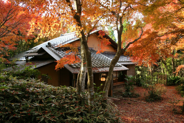 長崎必訪美景超好拍！網美最需要的「長崎旅遊全攻略」都給你，日本三大夜景「稻佐山」、古典西式「哥拉巴花園」，去過一次立刻愛上長崎的優美。