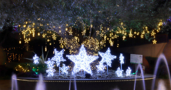 這顆聖誕樹有美到！史上最長110天「麗寶耶誕新年城」18公尺聖誕樹領軍，「下雪燈光秀、耶誕市集」把台中變超美。