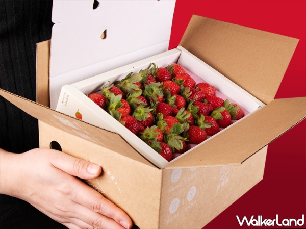 草莓產地直送！生鮮電商「無毒農」推出減法設計改造包裝，讓「有機草莓」不只無毒、更環保，讓減塑行動融入生活。
