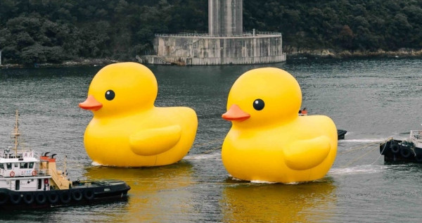 黃色小鴨複製貼上！超夯打卡點「黃色小鴨」強勢回歸香港，18米高「2隻黃色小鴨」加倍可愛、再次洗版IG。