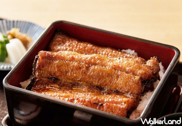 大倉鰻魚飯！大倉久和山里日本料理推出「經典鰻魚外帶盒飯」土用丑日限定，預購再送味噌湯及經典鰻魚玉子燒一份。