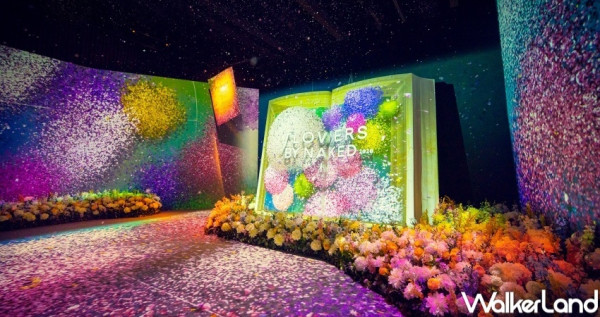 日本NAKED，INC.花之舞光影展！台北場NAKED FLOWERS花之舞光影展7大展區搶先看，早鳥票價、活動資訊先筆記。