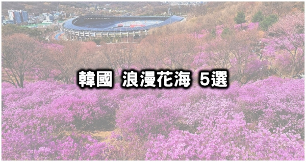 韓國在美什麼！韓國5大浪漫花海「美到會一直尖叫」Klook開春花路，網美系韓國美拍行程搶先看。