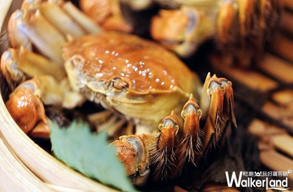 太湖大閘蟹強勢登場！翠庭中餐廳推出「品蟹宴」，要用肉甜膏腴的原味搶攻老饕的心，再加碼限定買一送一。
