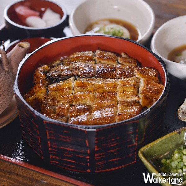 巨無霸鰻魚飯包準你沒吃過！「大江戶町鰻屋」頂級活鰻魚料理秀，300元就吃的到。