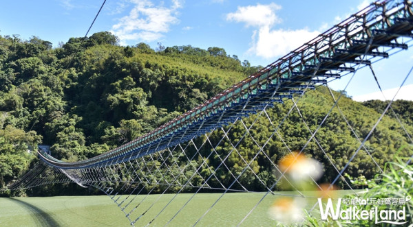 桃園人搶先拍！全台最長303公尺吊橋1月13日正式啟用，高空絕美風景搶先看。
