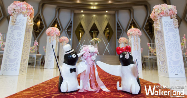 「520企鵝閃愛行動」移師桃園！晶宴會館讓情侶夫妻們中秋國慶放閃無極限。