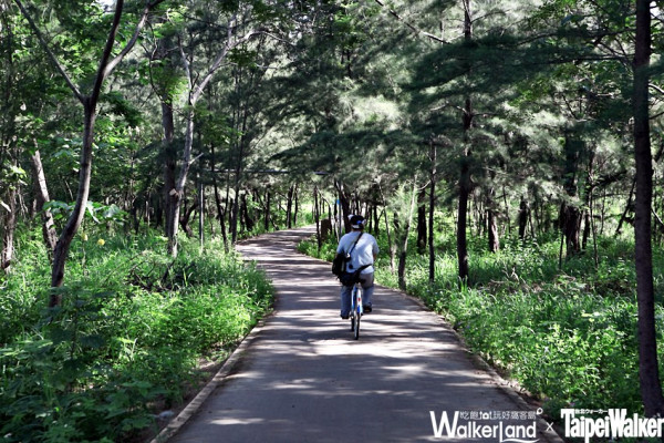 TaipeiWalker 宜花東特刊：最美單車路線漫遊森林湖景