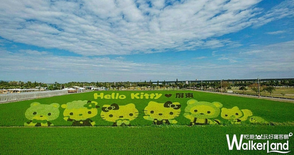 Kitty迷又要爆走啦！全球獨家「3D立體Hello Kitty彩繪稻田」連續29天免費入場，管你是Kitty迷還是網美絕對要打卡賣萌。
