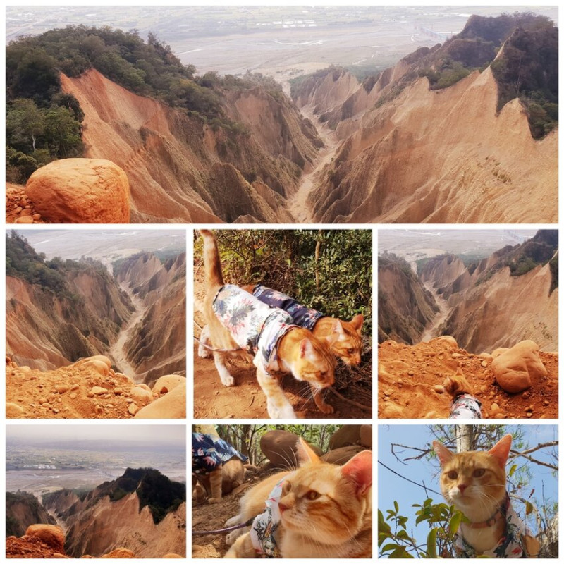 【苗栗.三義】帶著貓咪去旅行超壯觀火炎山。大峽谷來回約4.5小時