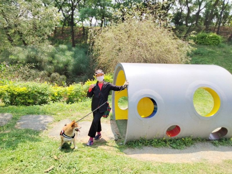 青埔景點-台灣橫山書法藝術館.書法藝術公園-休憩、戲耍、健走、野餐的好所在