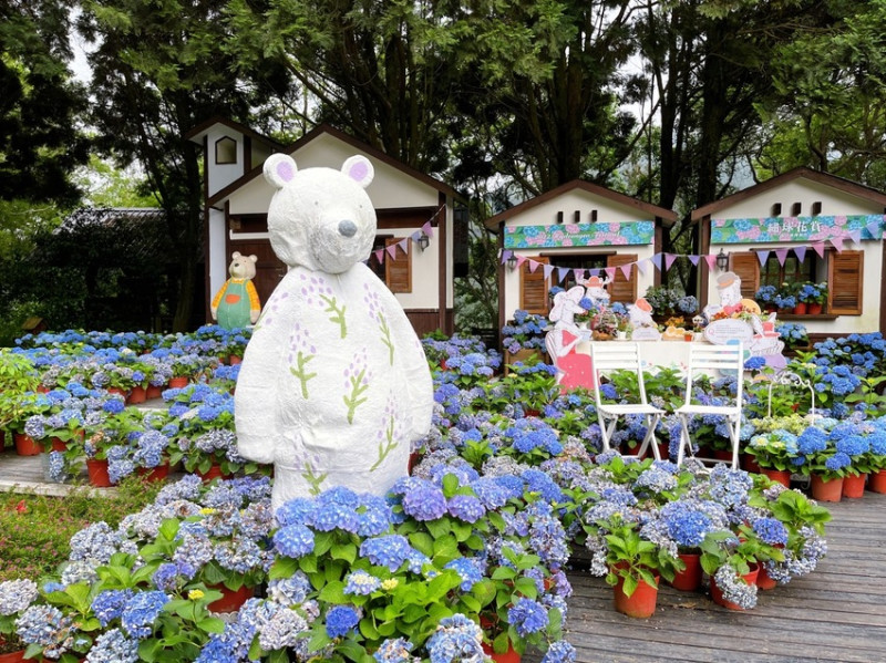 新竹尖石一日遊，薰衣草森林創始店，繡球花季現正展開中！