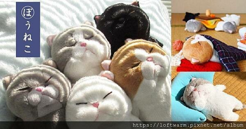 日本「棒貓ぼうねこ」，躺成一根的可愛睡姿，讓貓奴真想狂吸，可愛玩偶品牌推薦。