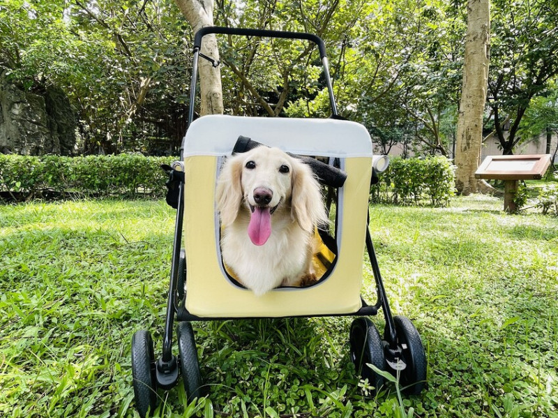 【摸肚肚MODODO】GOGOBOX小立方寵物推車『小臘腸咪咪』狗生第一台『豪華推車』！毛小孩外出散步必備