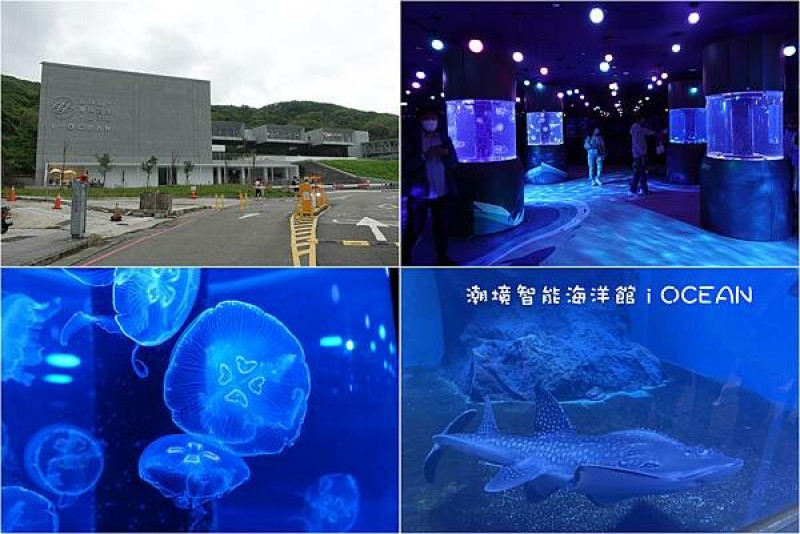 [基隆] 潮境智能海洋館 i OCEAN ~ 基隆最新人氣親子景點，展示320種海洋生物，超療癒水母、七米高大洋缸(文內有優惠門票訊息)