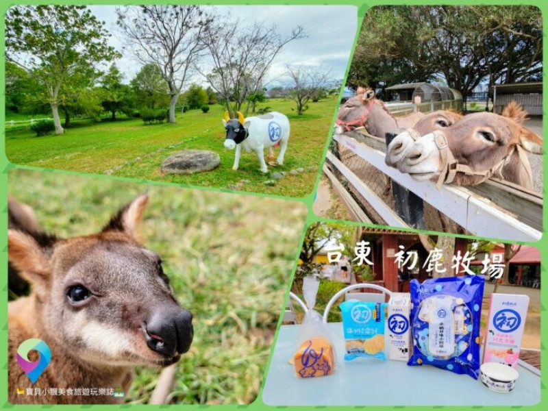 [旅遊]台東 初鹿牧場 好喝的初鹿鮮奶在這裡，大口喝超滿足 還可跟可愛動物餵食互動 悠閒漫步的放鬆之旅