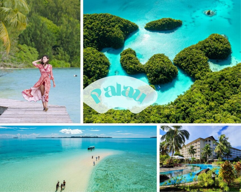 帛琉旅遊 四天讓你遊遍精華潛點，一睹華麗海底奇景