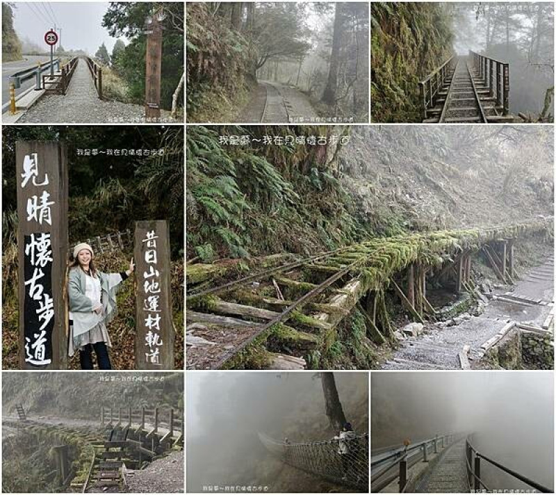 『宜蘭。見晴懷古步道』～全球最美登山小路之一／輕鬆好走／迷霧森林