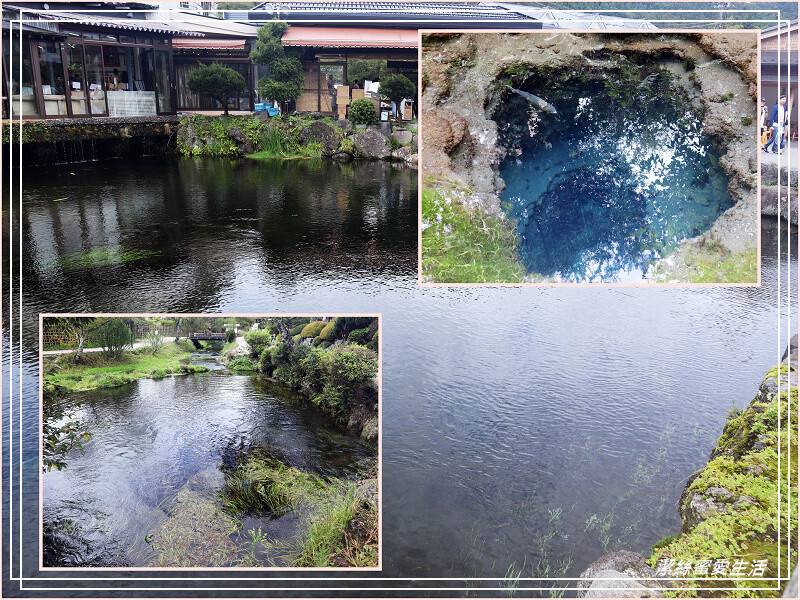 日本忍野八海-日本山梨縣/富士山下的神之泉!各自擁有美麗傳說
