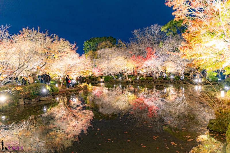 日本東寺｜京都市日本–京都最古老的寺院欣賞絕美的夜楓，不論是白天與夜晚都很美的賞楓景點