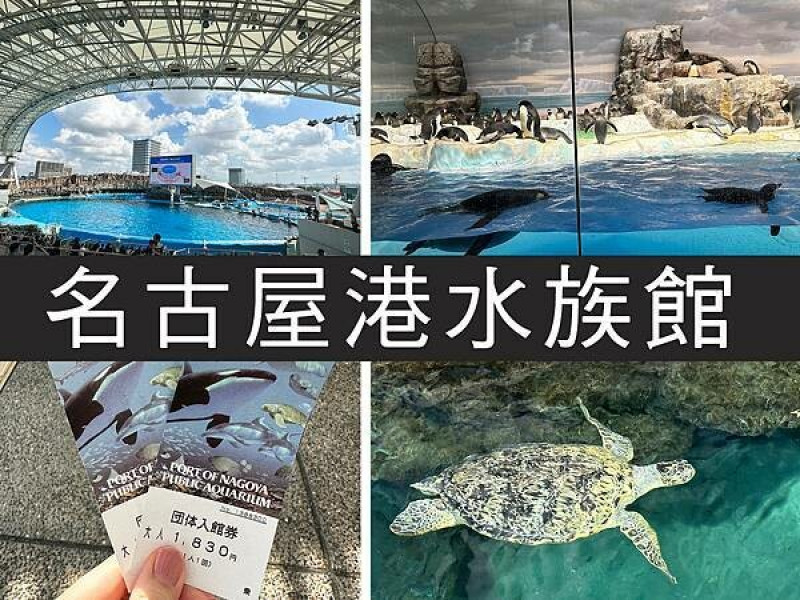 【名古屋】名古屋港水族館｜海豚秀必看，還有牡蠣尋找珍珠活動｜柴貓趴趴走