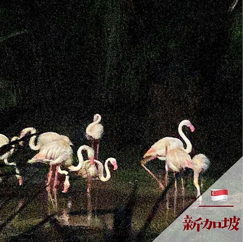 日本Night Safari｜夜間野生動物園 @neru.foodie / 丸の良食