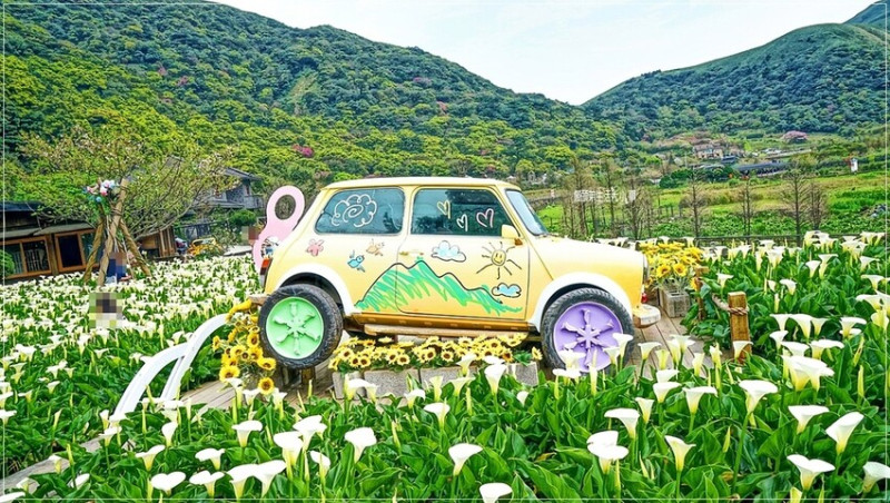 探訪絕美海芋聖地！台北景點陽明山名陽匍休閒農莊，門票可抵消費