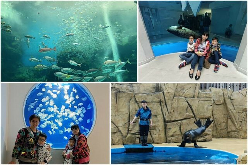 桃園市中壢區Xpark水族館 | 桃園親子景點推薦．探索奇幻的海底世界．療癒感十足的視覺體驗