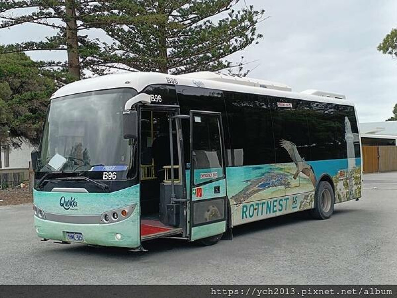 公車環遊羅特尼斯島，欣賞島上風光與美麗的海岸